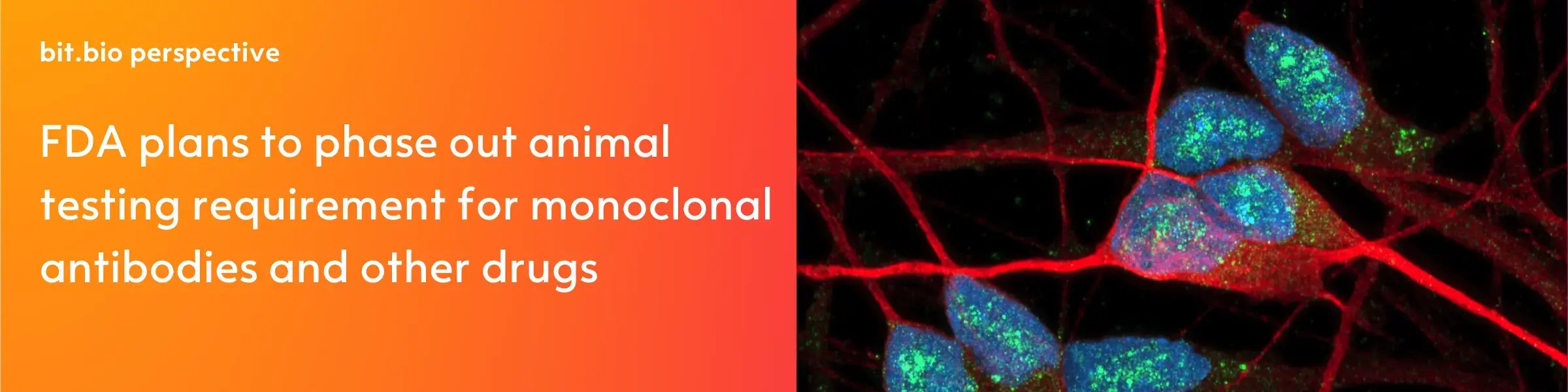 FDA modernisation act 2.0 blog image