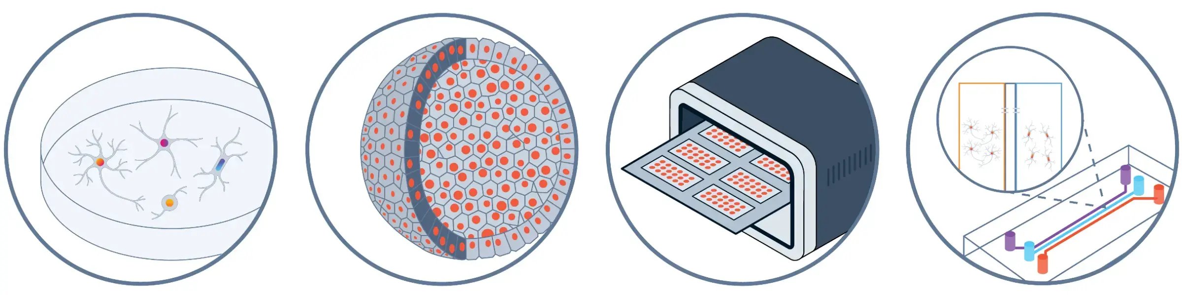 New approach methodologies (NAMs) schematic