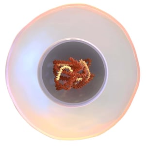 stem-cell_square_no-BG_-comp