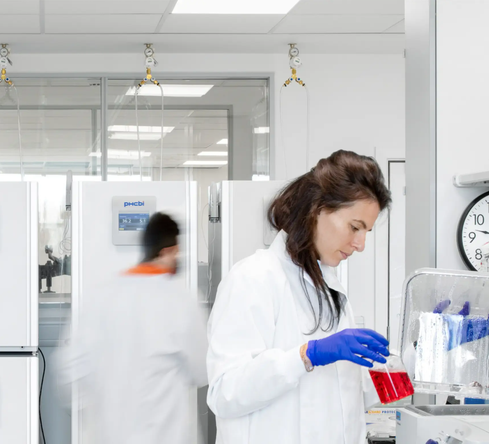 lab-team