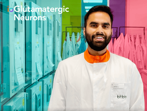 Culturing Glutamatergic Neurons | How-to Video