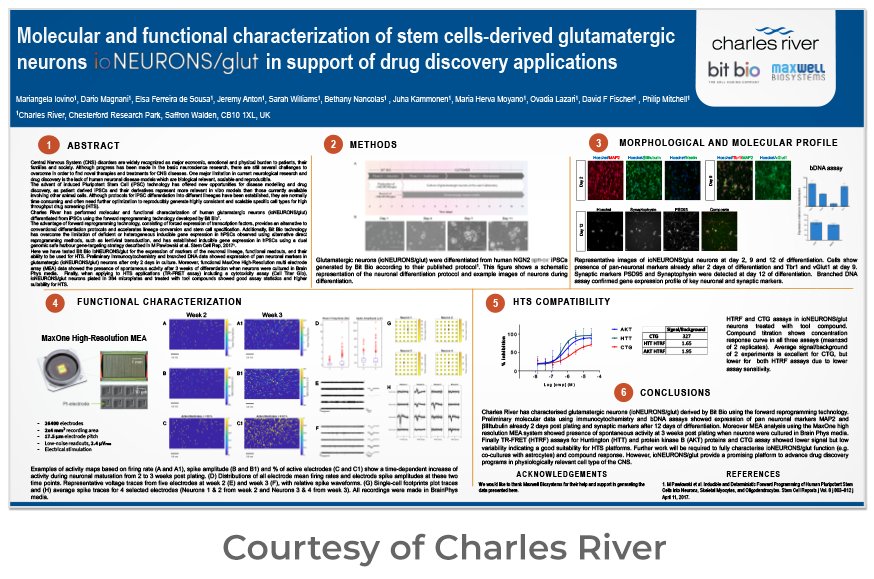 Molecular and functional characterization of stem cells-derived glutamatergic neurons in support of drug discovery applications