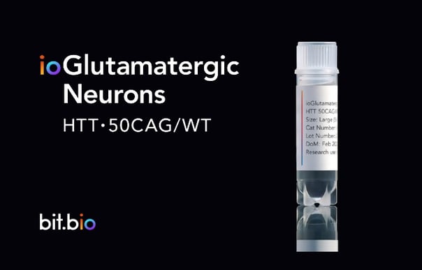 Introducing ioGlutamatergic Neurons HTT 50CAG/WT | A next-generation approach to study Huntington's disease