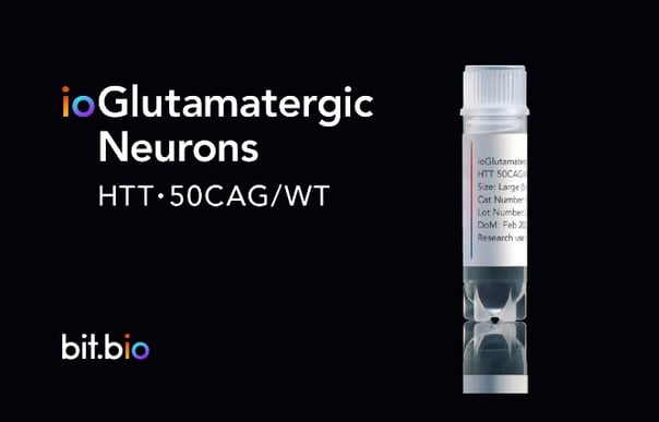 Introducing ioGlutamatergic Neurons HTT 50CAG/WT™ | A next-generation approach to study Huntington's disease