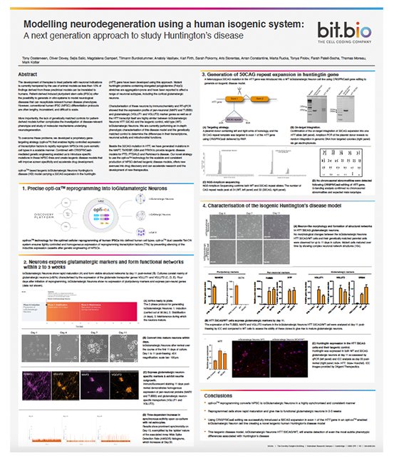 Modelling neurodegeneration using a human isogenic system