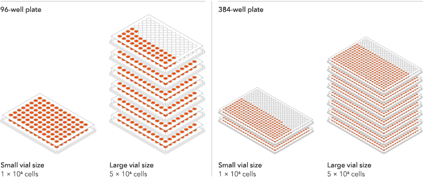 ioGlut-WT-well_plate-2