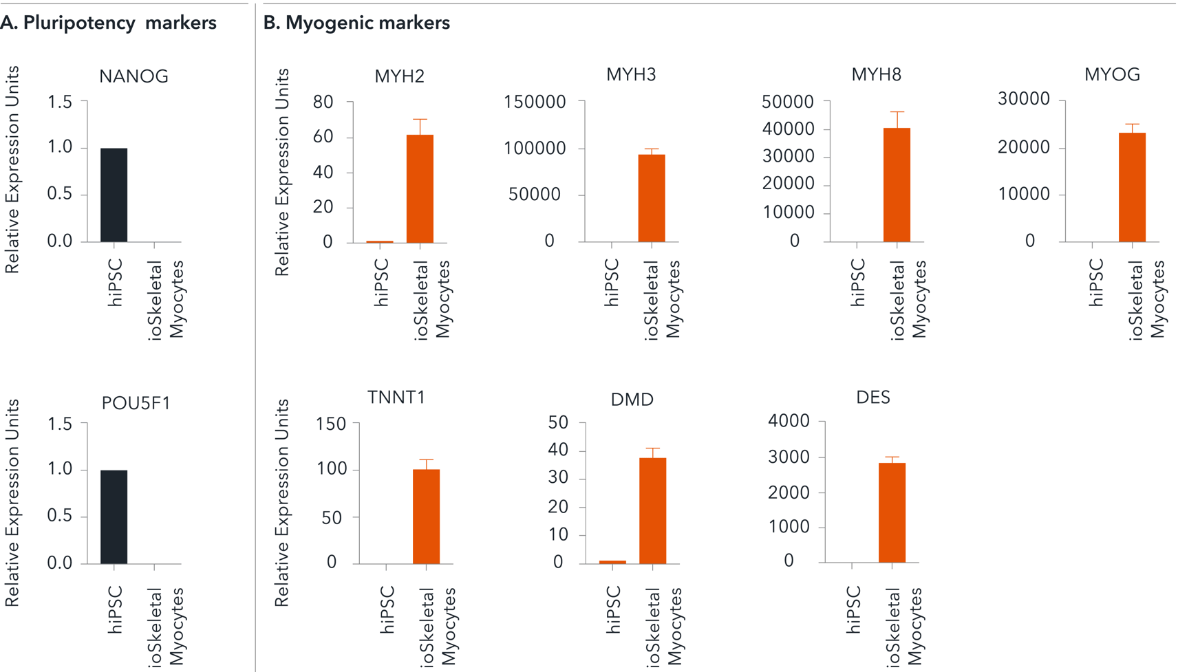 Cells demonstrate gene expression-1