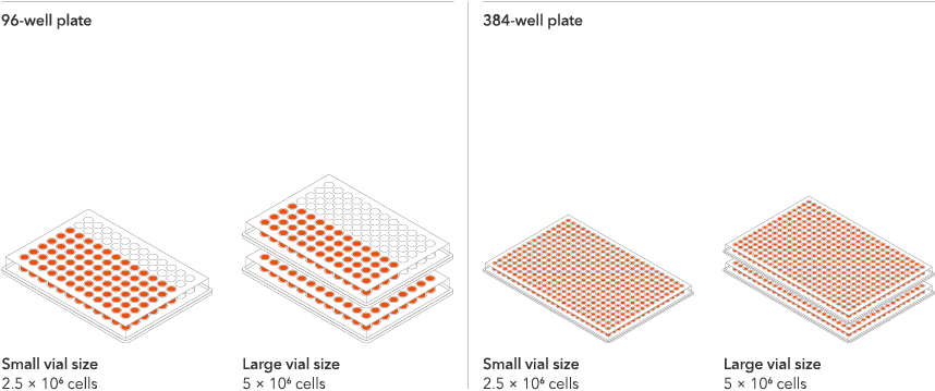 ioSkeletal-WT-well_plate