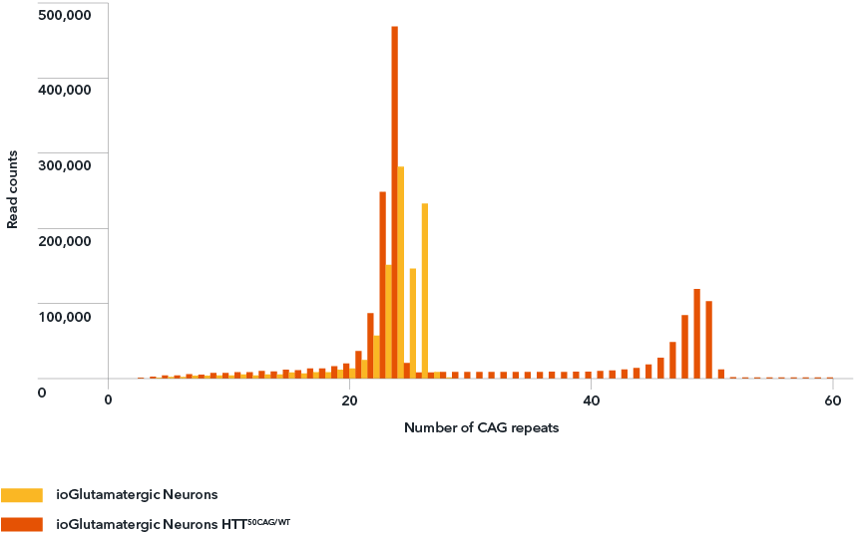 enotype validation of the number of CAG repeats