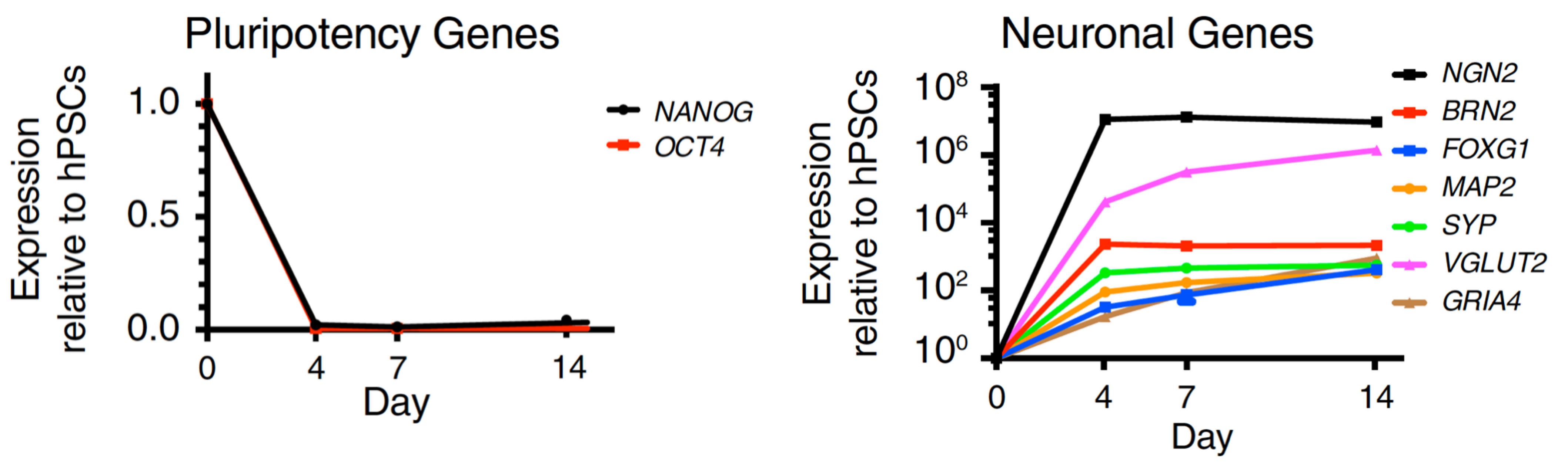 Figure 2 pawloski et al horizontal