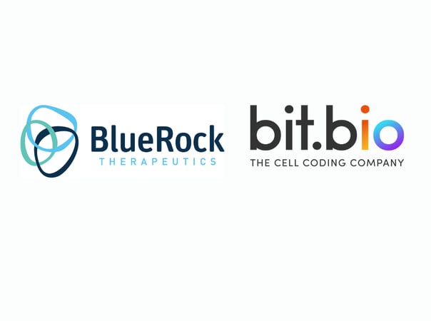 BlueRock Therapeutics and bit.bio announce collaboration