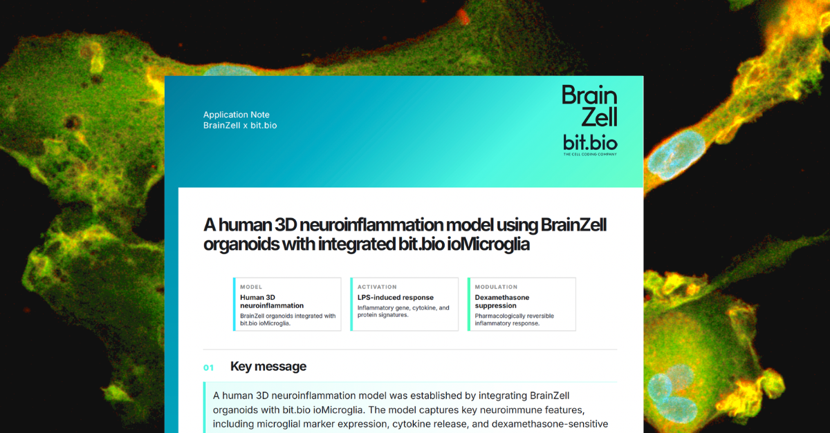 A human 3D neuroinflammation model using BrainZell organoids with integrated bit.bio ioMicroglia
