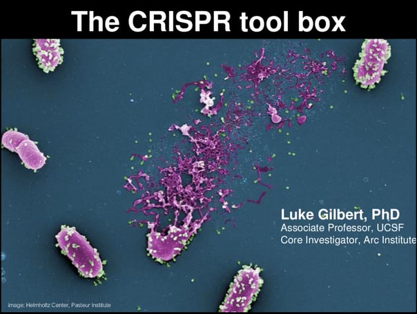 Powering a new generation of physiologically relevant CRISPR screens