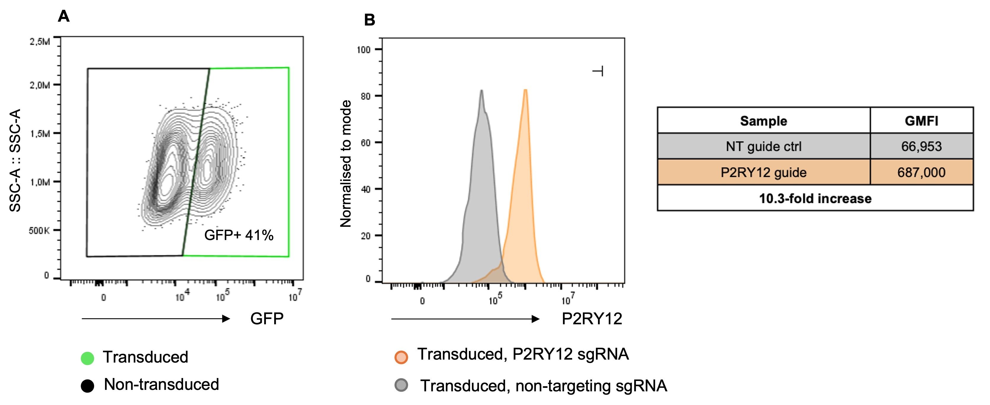 CRISPRa microglia P2RY12 activation flow cytometry