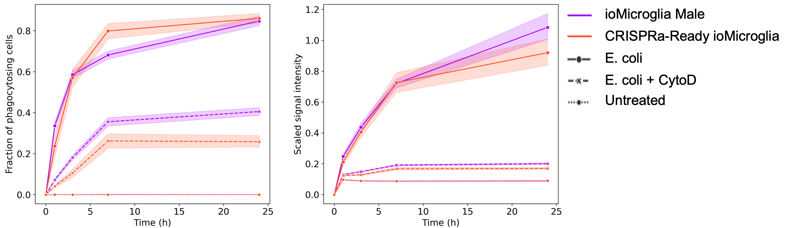CRISPRa microglia e. coli phagocytosis