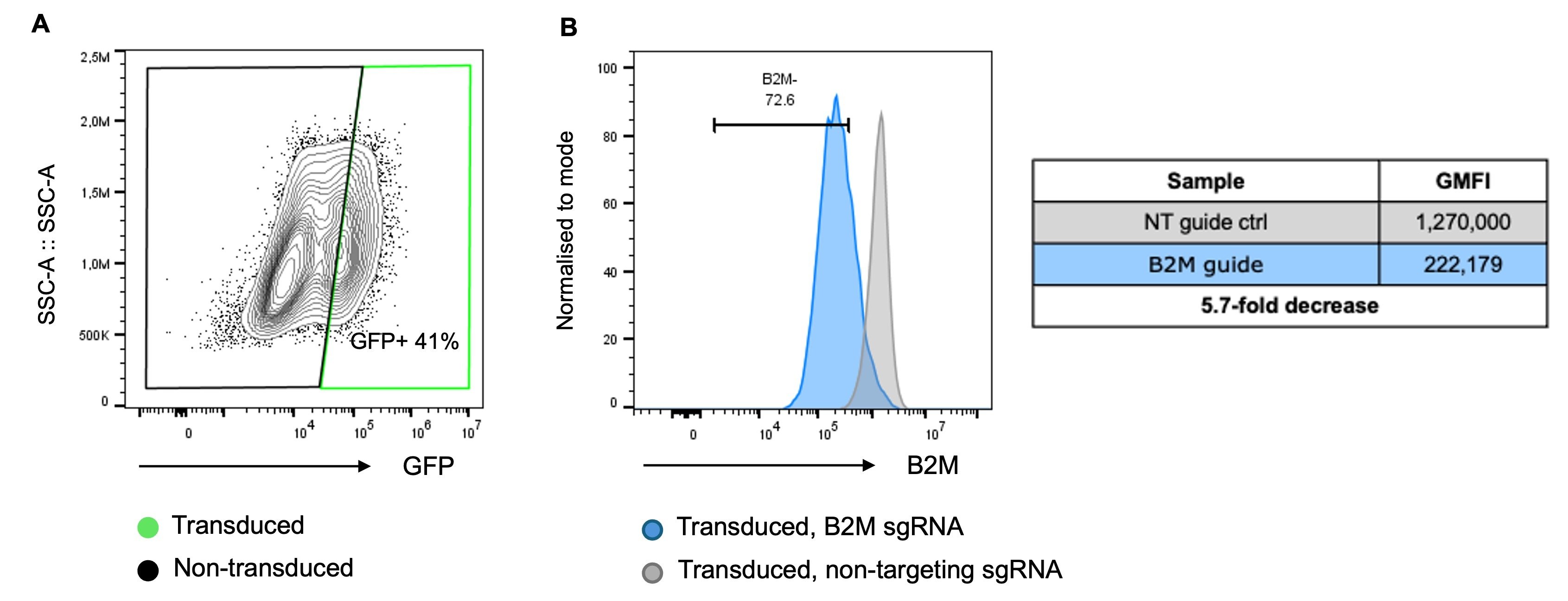 CRIPSRi flow cytometry readout