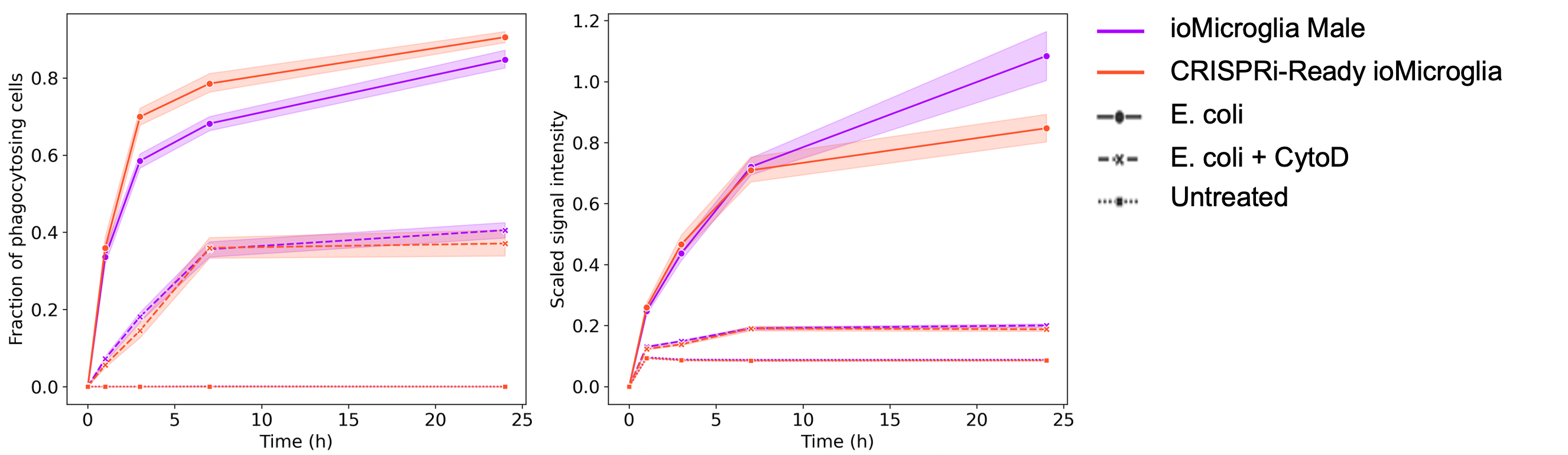 CRISPRi microglia e.coli phagocytosis