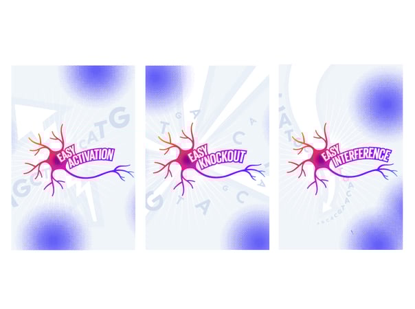 bit.bio launches first-of-their-kind human iPSC-derived cells for gene activation and interference, expanding functional genomics product range