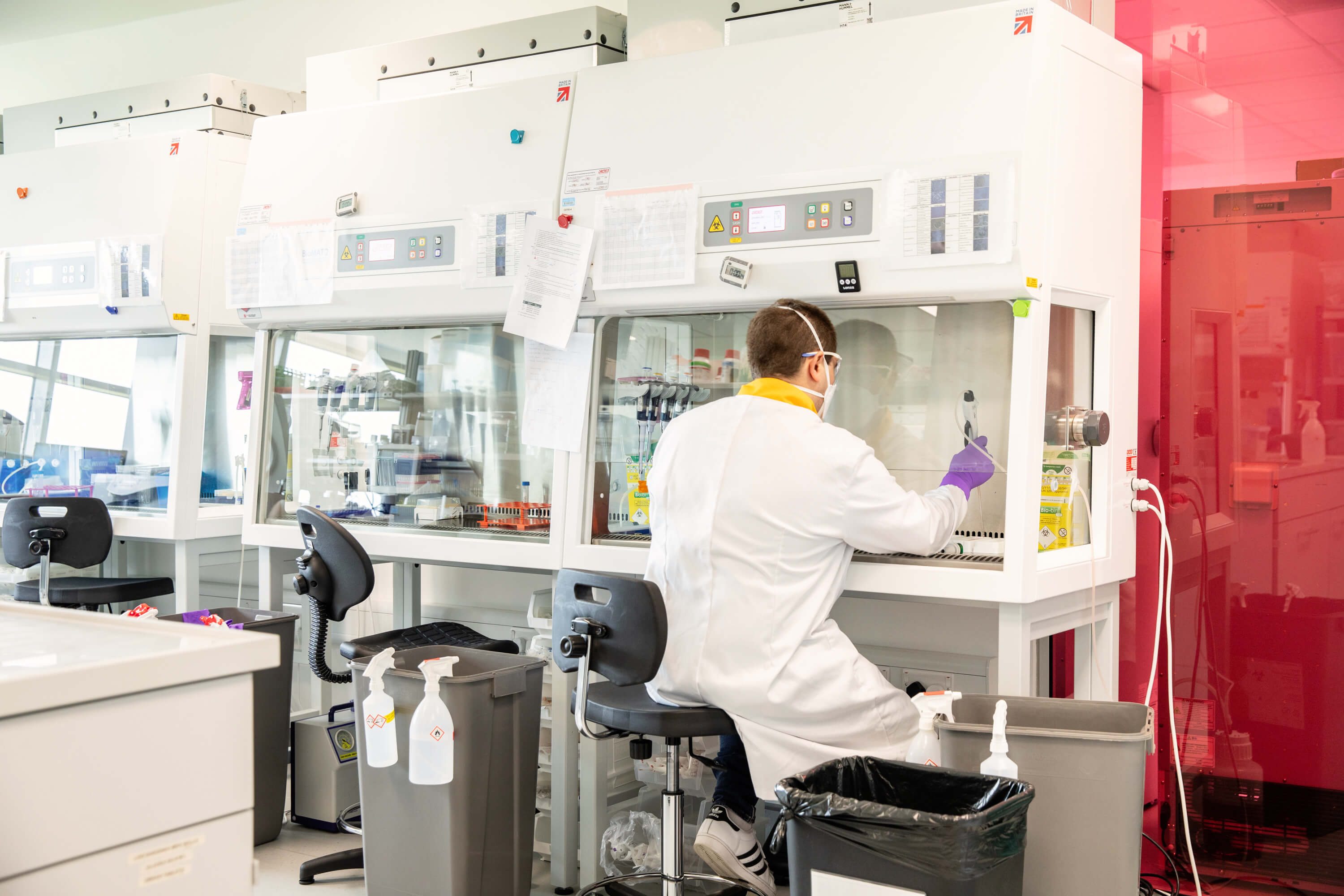 Cryopreserved human iPSC-derived cells for research use only