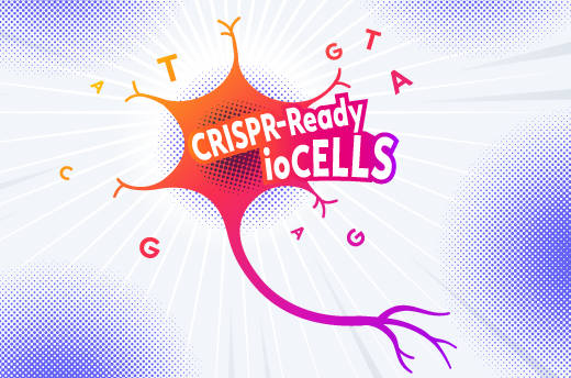 CRISPR screens in iPSC-derived human neurons and  glia for target identification and validation