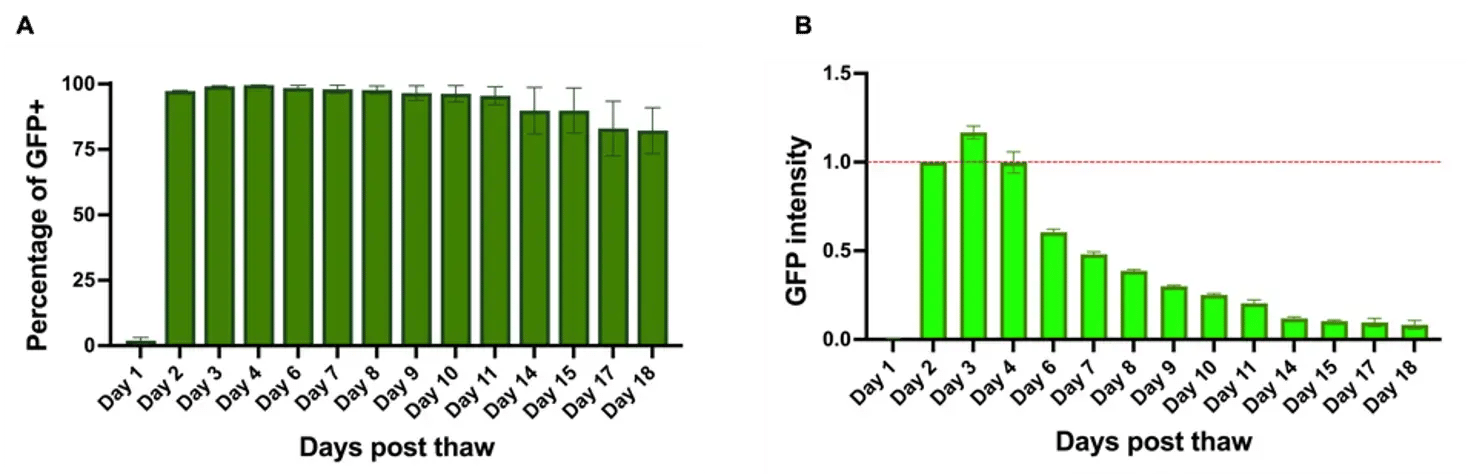 bitbio-lipid-delivery-glutamatergic-neurons-GFP-quantification