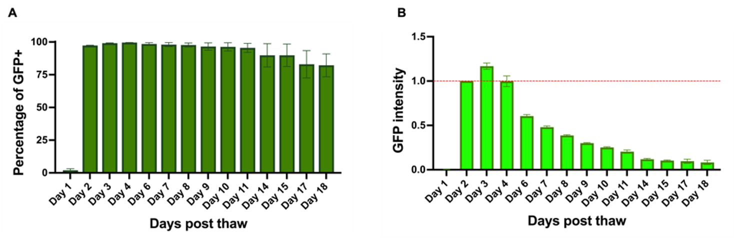 GFP-quantification-lipid-based-delivery-synthetic-mRNA-glutamatergic-neurons