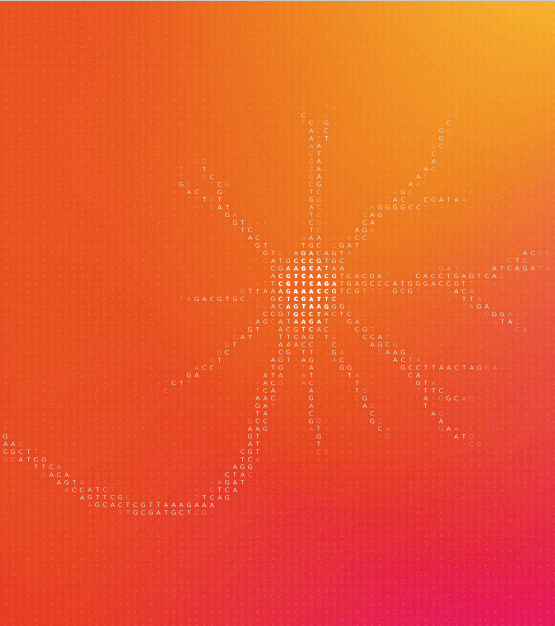 Gradient Neuron CGAT 2