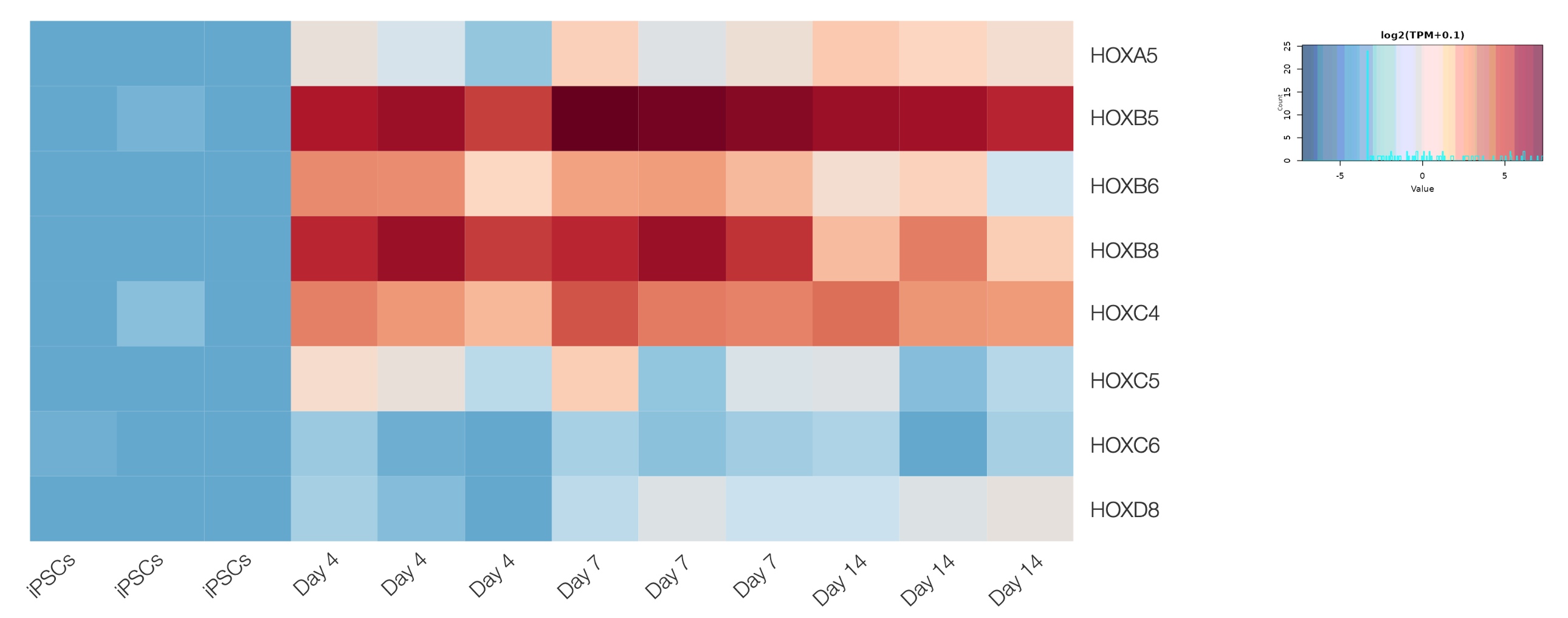 Heatmap 22