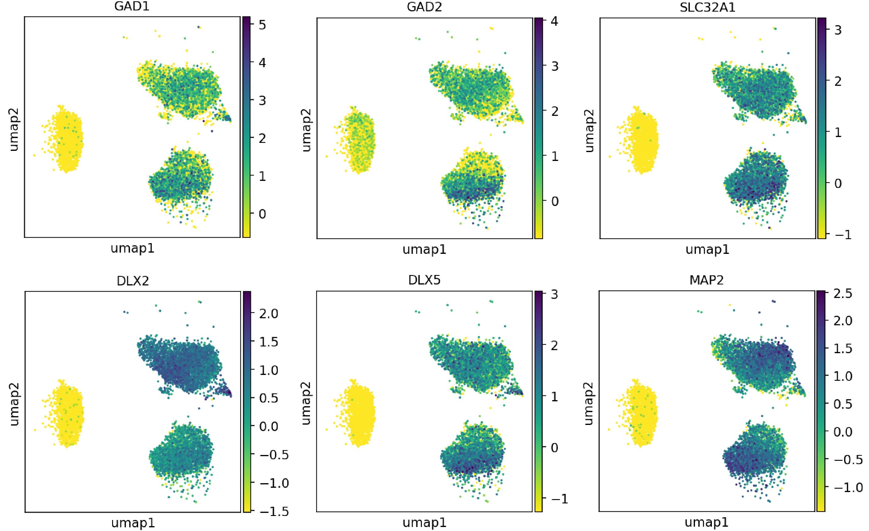 Single cell RNA-sequencing shows ioGABAergic Neurons express key GABAergic markers