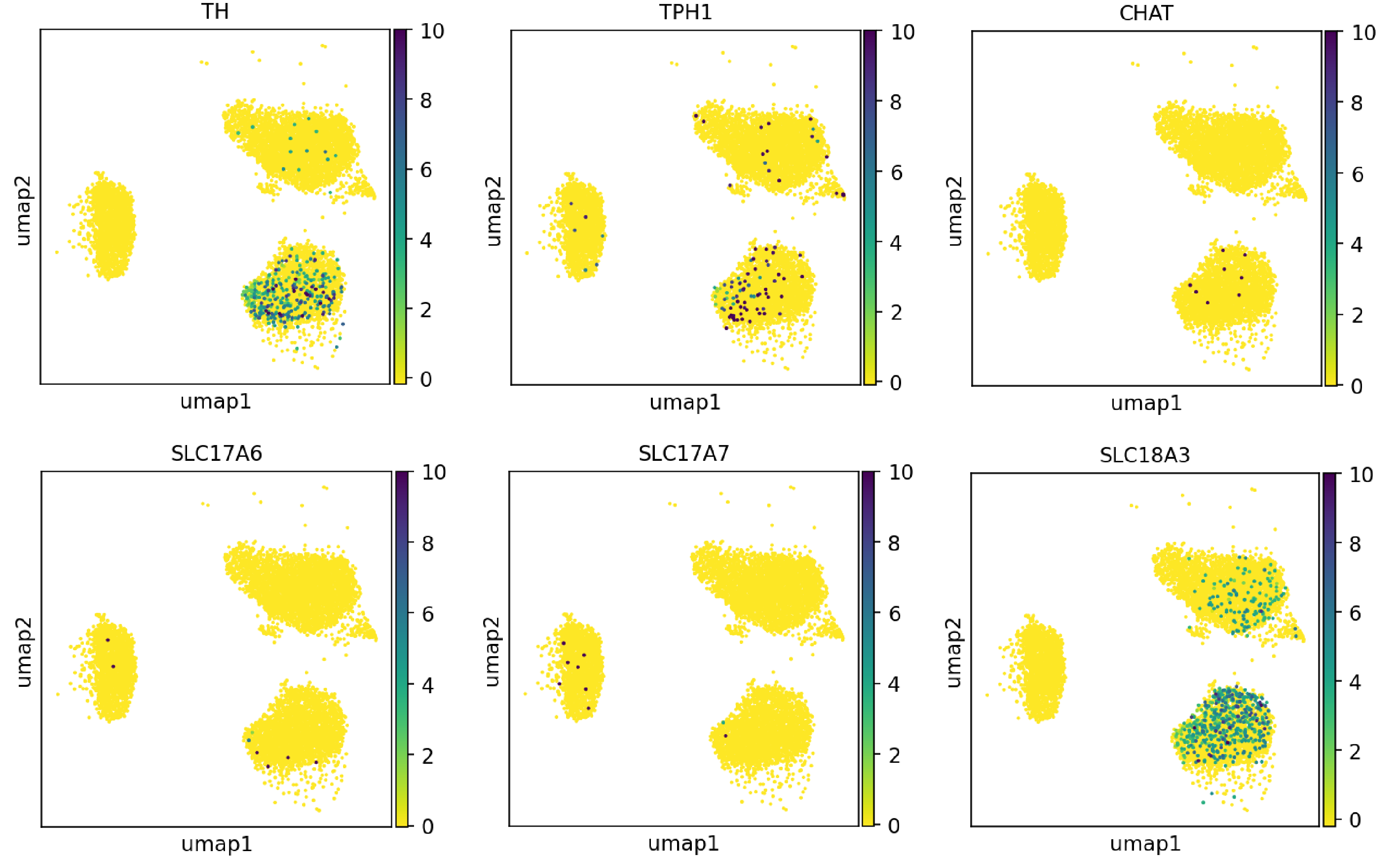 Single cell RNA-sequencing shows ioGABAergic Neurons display minimal expression of markers indicative of other neuronal lineages