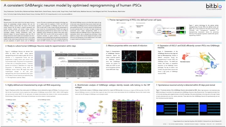 A consistent GABAergic neuron model by optimised reprogramming of human iPSCs