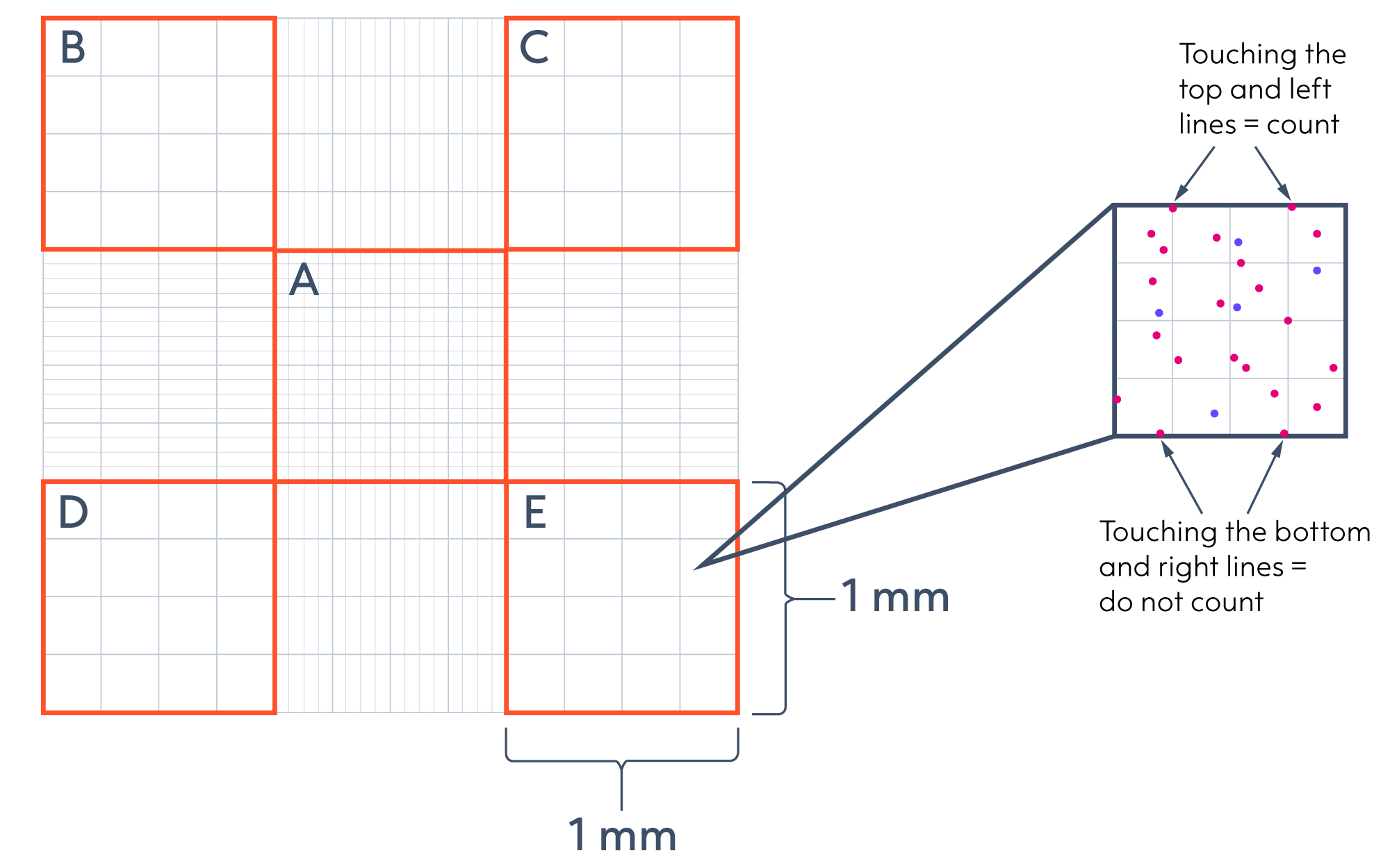 Square-diagram