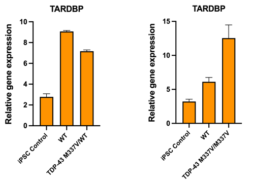 TARDBP expression het and hom