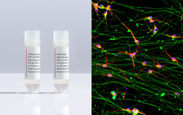 New cell products for neurodegenerative disease