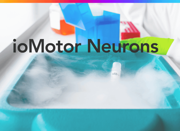 How to culture ioMotor Neurons 