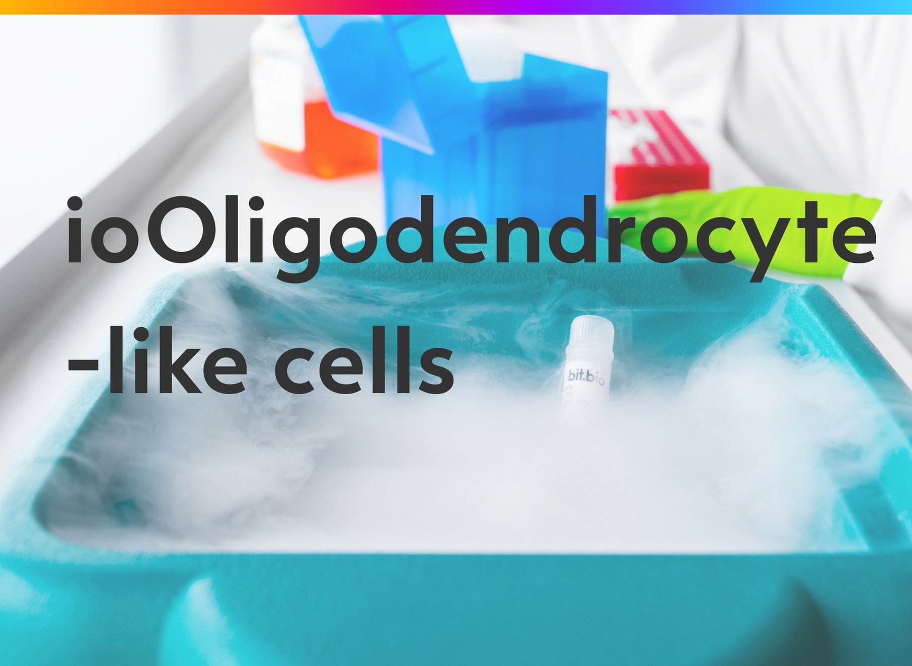 Oligodendrocyte-like cells | ioCells | bit.bio