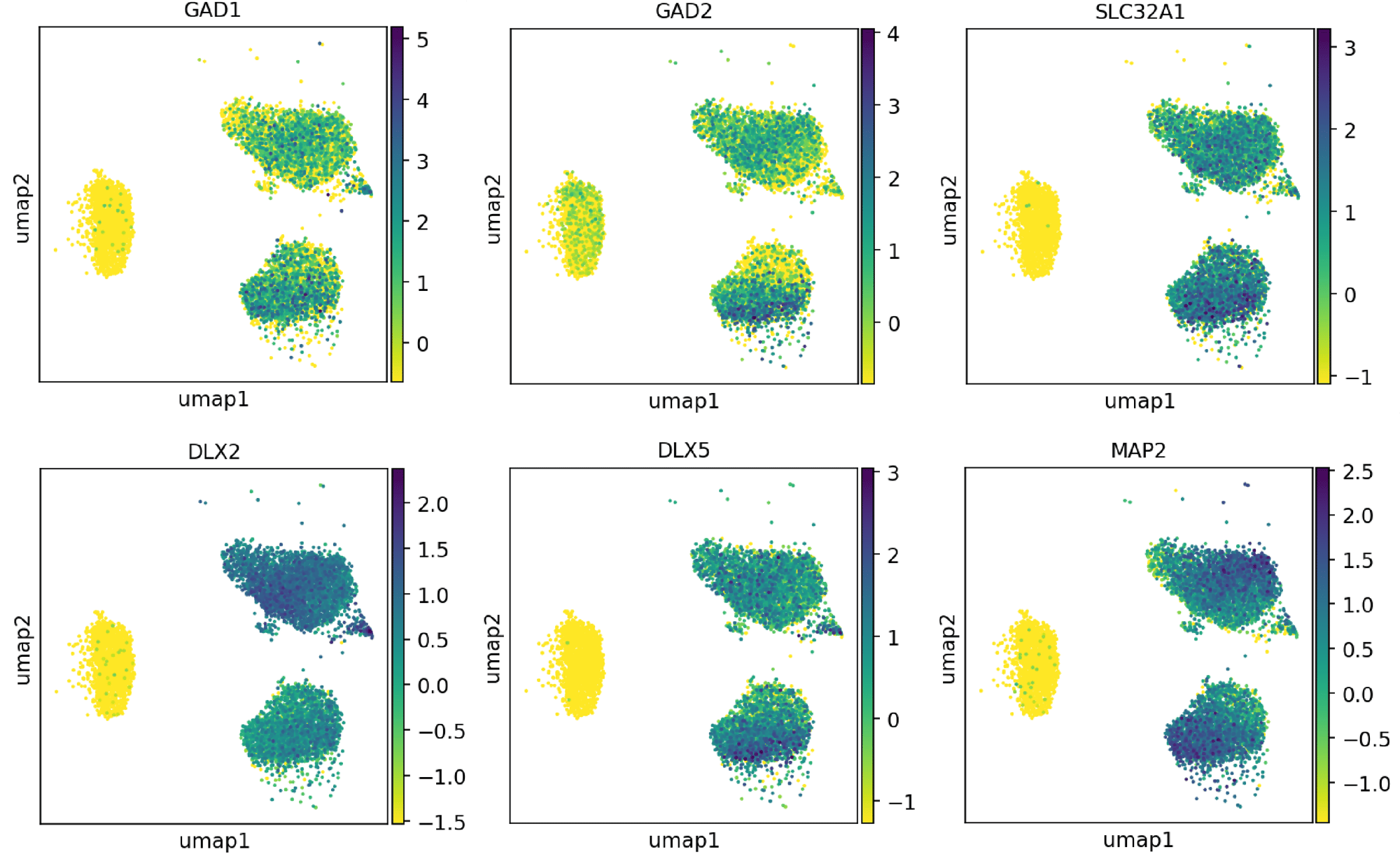 UMAP GABA markers