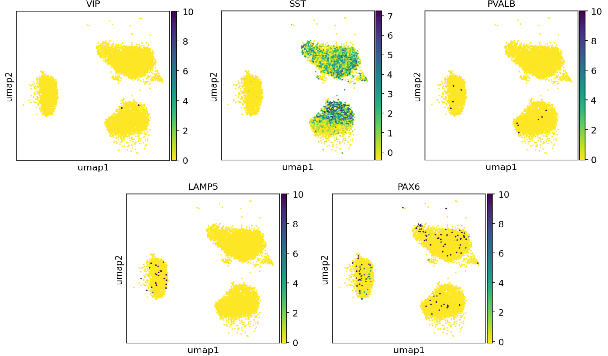 UMAP SST subtype