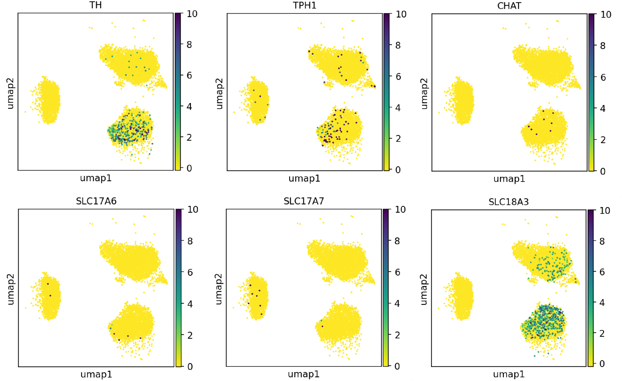 UMAP scRNA-seq non-GABA markers