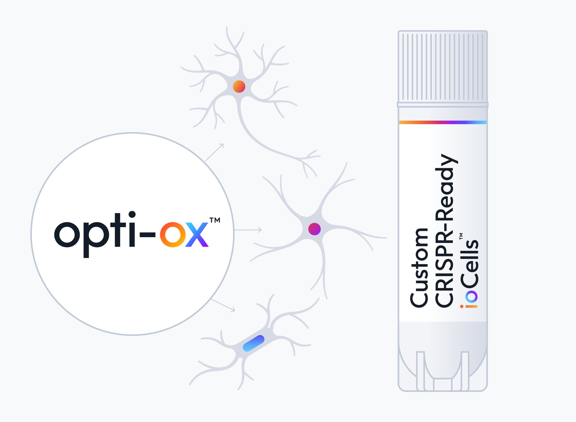 Web-customCRISPRimage