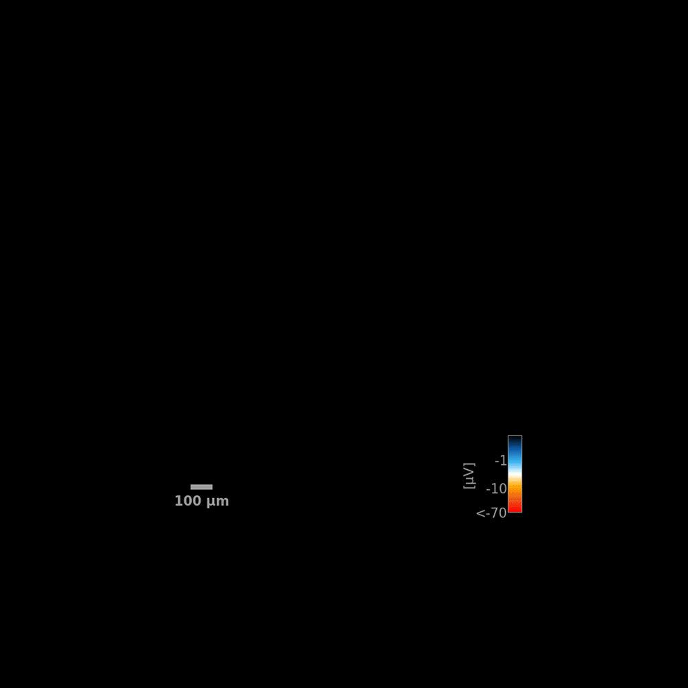 ioMotor-Neurons-AP-tracking-1000px