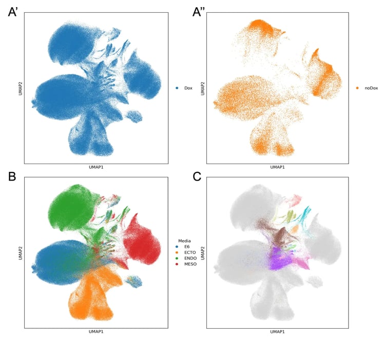 bit.bio-Induced-cell-state-changes