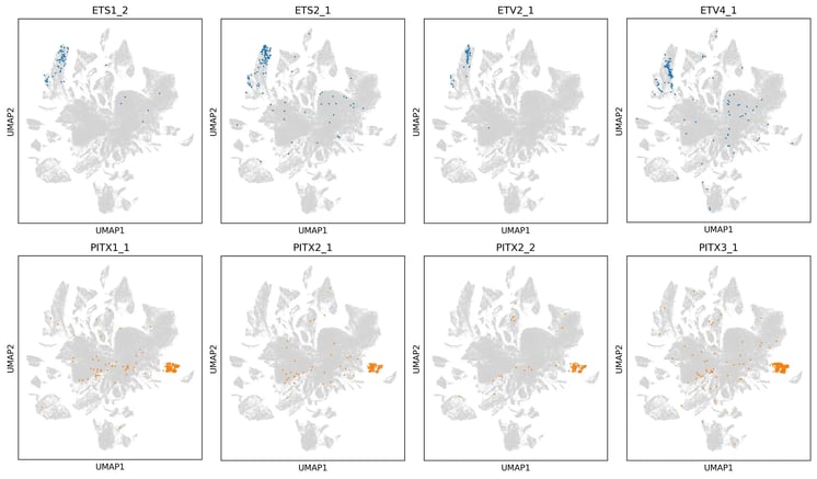 bit.bio-TF-family-members-occupy-shard-regions-transcriptional-space