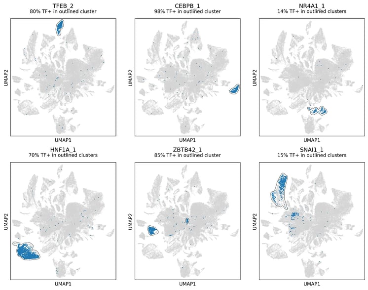 bit.bio-Transcription-factor-specific-clusters