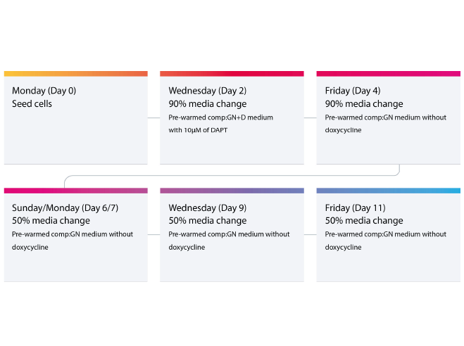 bitbio-workflow_protocol-Top Tips Blog_Feb23_v3Artboard 1
