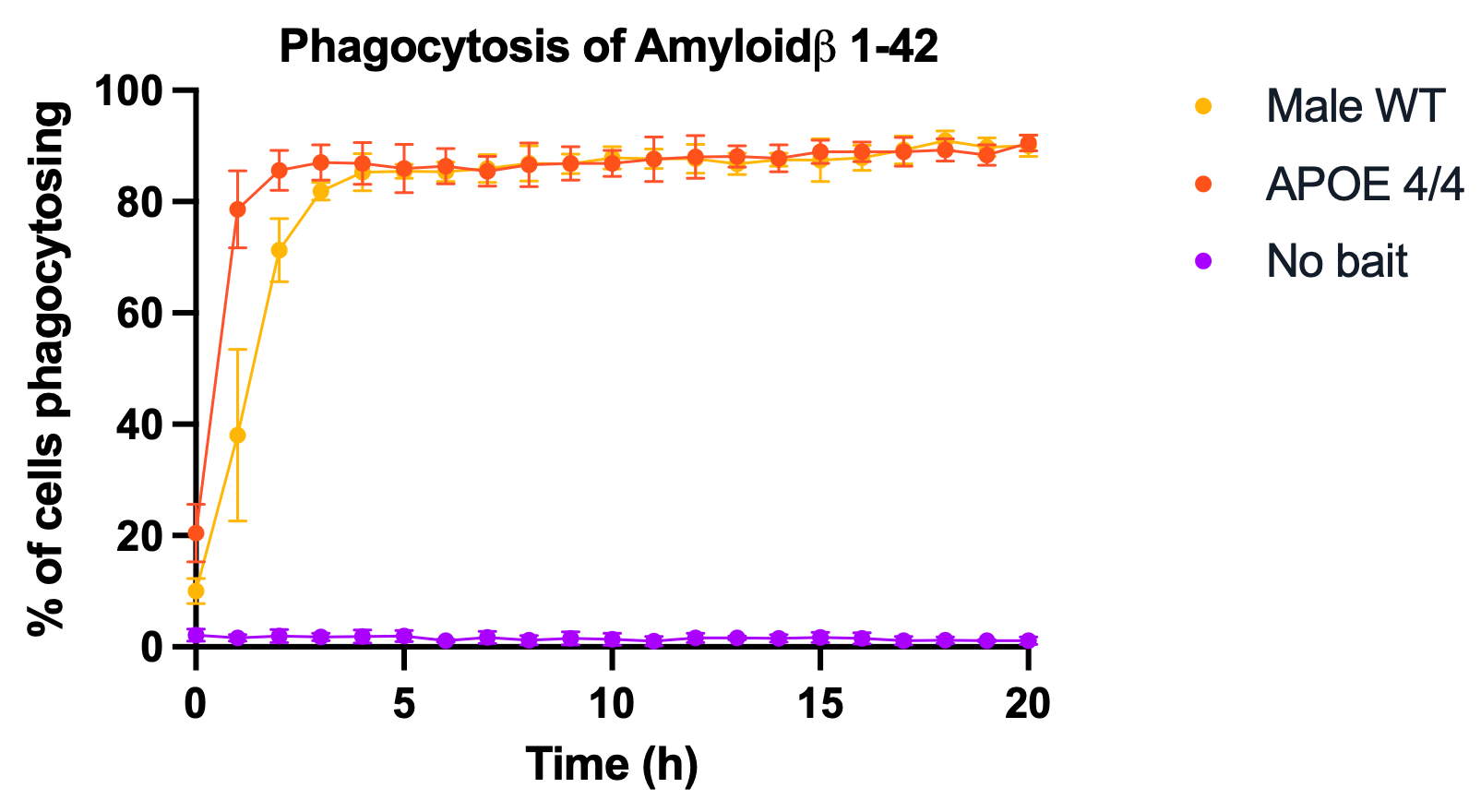 AB42 Percentage positive- Male WT ApoE (1)