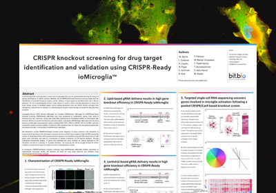 CRISPR knockout screening for drug target identification and validation using CRISPR-Ready ioMicrogliaTM