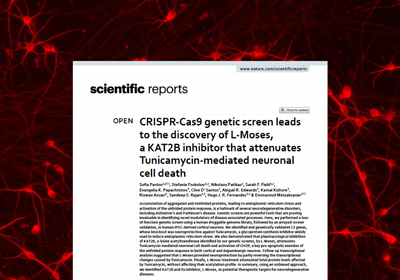 CRISPR-Cas9 knockout screen in iPSC-derived Neurons identifies new Alzheimer’s disease druggable target