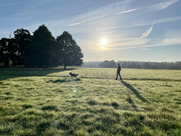 Dog-walk-Amanda