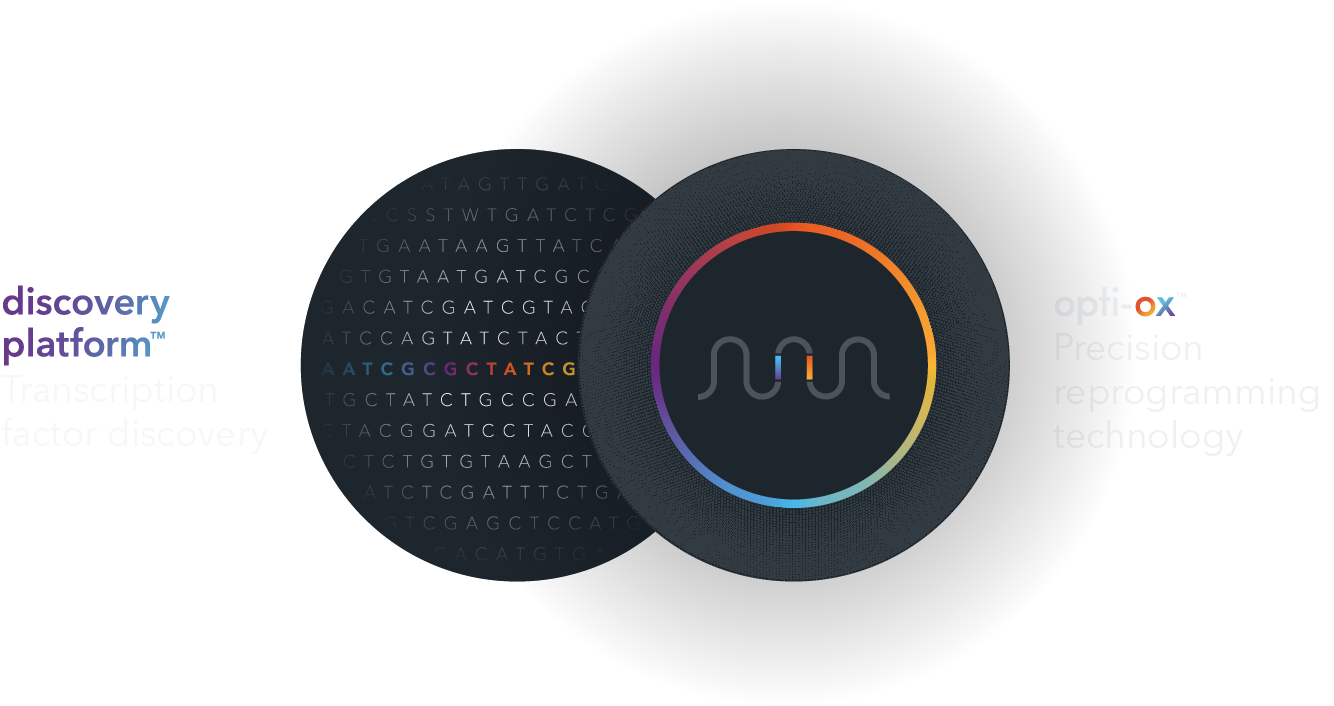 bit.bio–venn_diagram–V16-08